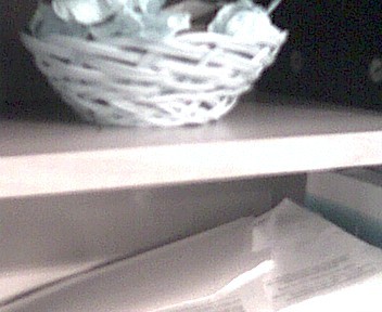 tritepic.gif